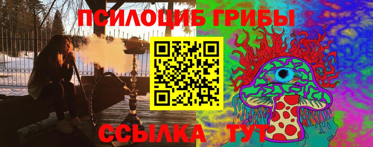 Галлюциногенные грибы ЛСД  Вход с VPN  Пугачёв  Псилоцибиновые грибы MAGIC MUSHROOMS 